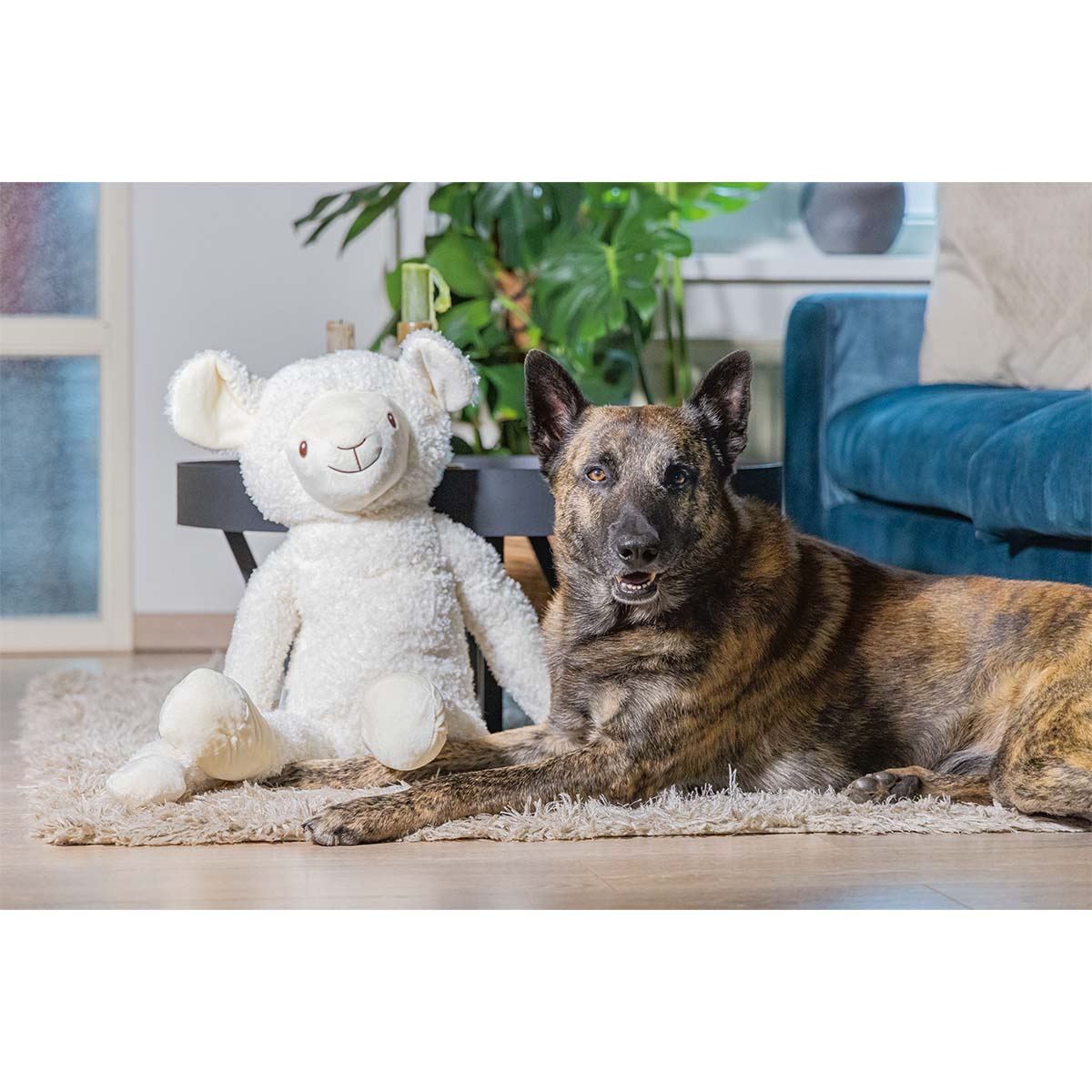 Beeztees XL hračka pro psy, plyšová ovečka Jessy v bílé barvě