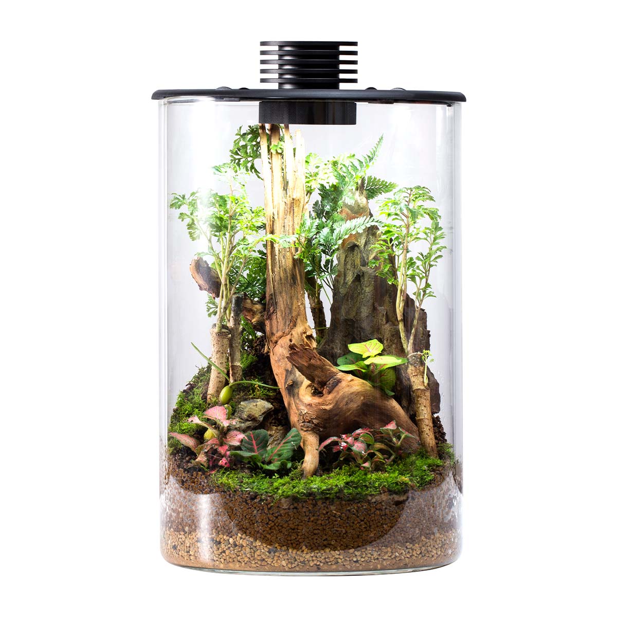 Bioloark Bio Bottle ZD