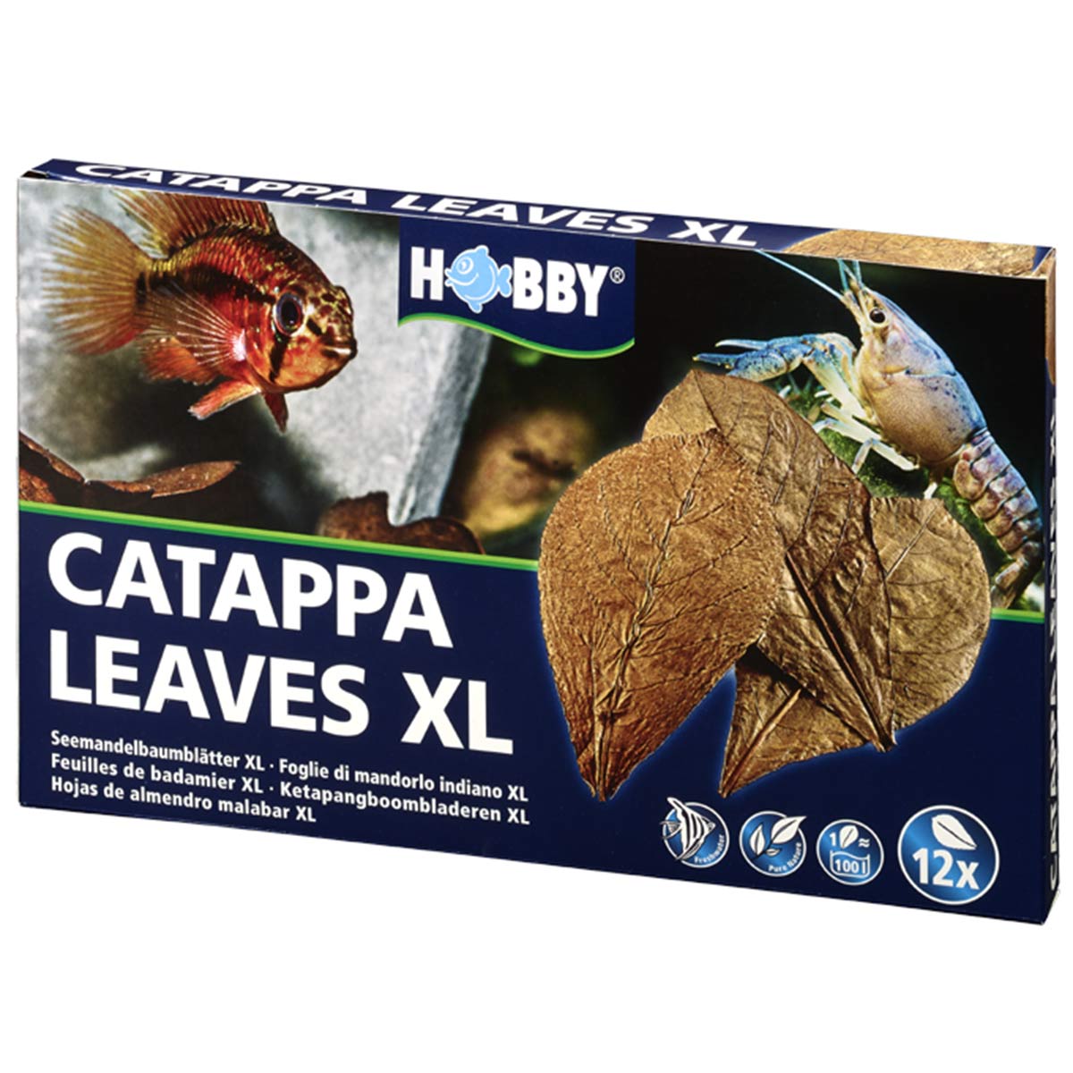 Hobby Catappa Leaves listy velikosti XL, 12 kusů