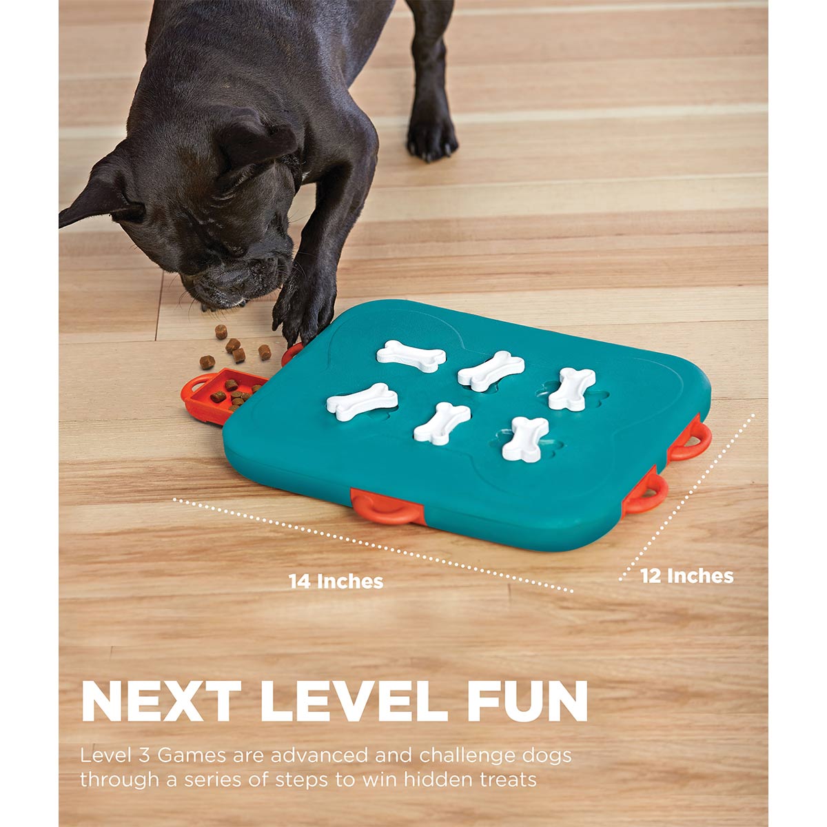 Dog Casino interaktivní hračka